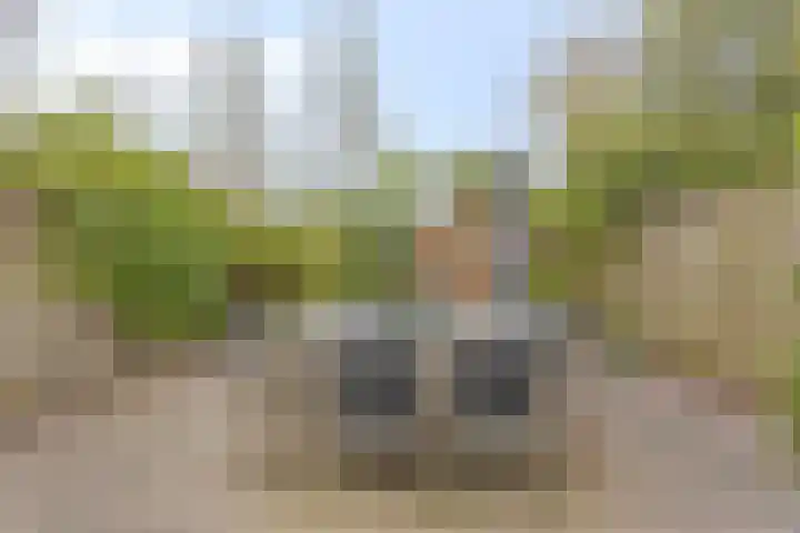 Weide 18 Stompetoren thumbnail 6