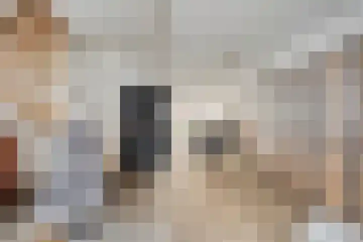 Weide 38 Dongen thumbnail 11