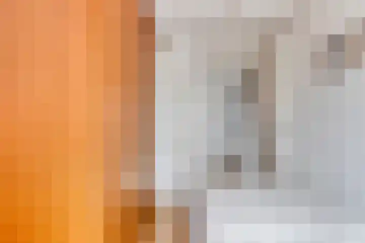 Weide 38 Dongen thumbnail 22