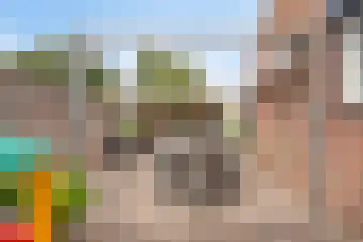 Weide 38 Dongen thumbnail 31