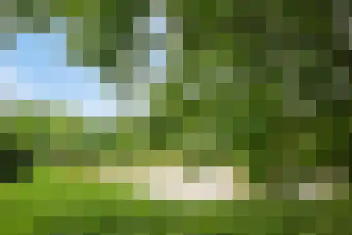 Weide 38 Dongen thumbnail 37