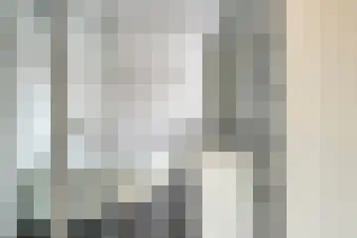 Weide 38 Dongen thumbnail 5