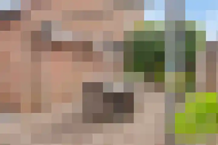 Weide 38 Dongen thumbnail 6