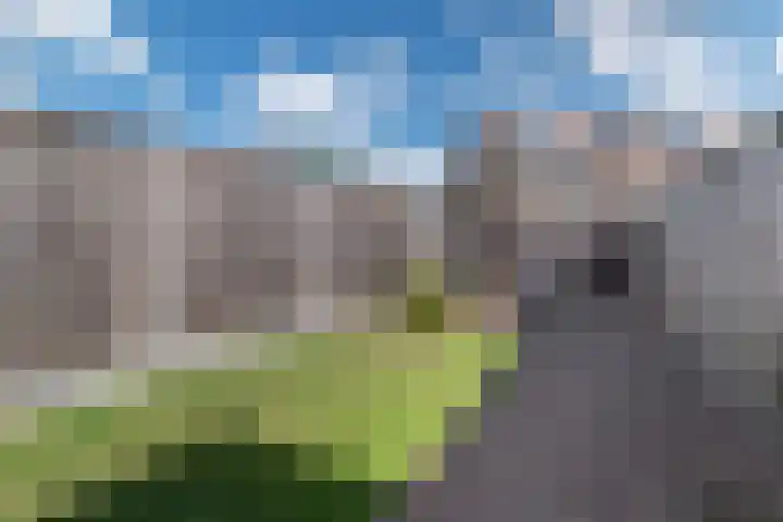 Weidedreef 164 Zoetermeer thumbnail 7