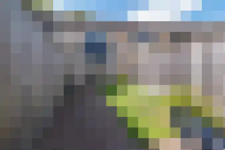 Weidedreef 164 Zoetermeer thumbnail 8