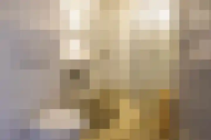 Weidedreef 29 Langbroek thumbnail 17
