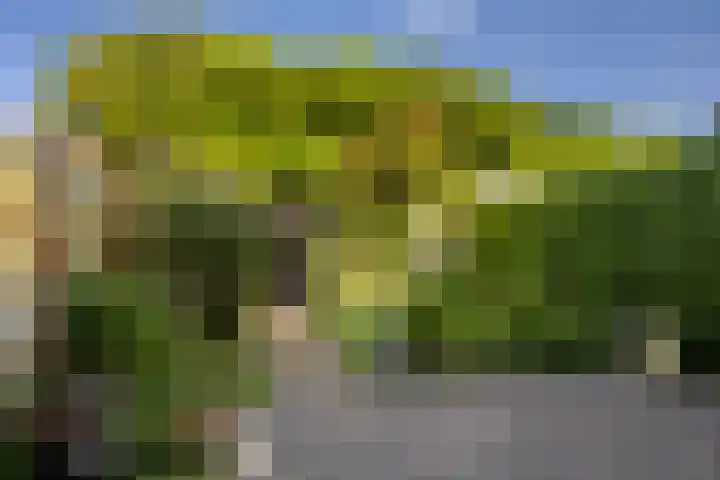 Weidedreef 29 Langbroek thumbnail 21