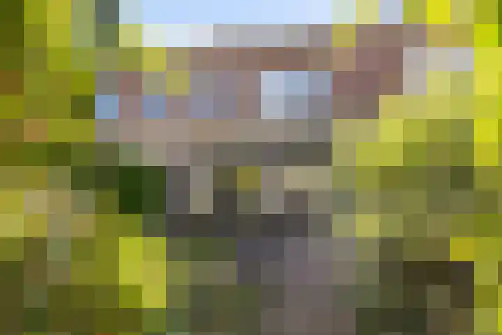 Weidedreef 29 Langbroek thumbnail 23