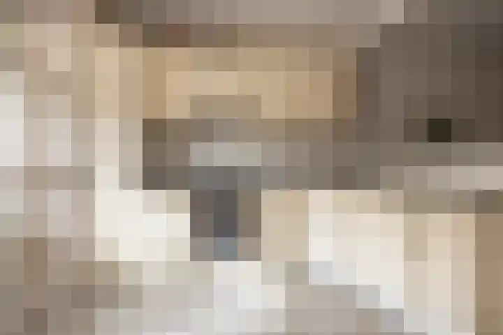 Weidedreef 29 Langbroek thumbnail 7