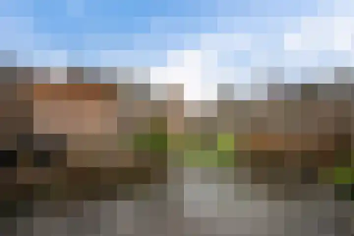 Weidehoek 11 Achterveld thumbnail 25