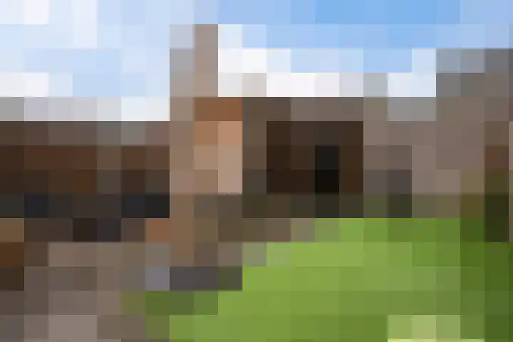 Weidehoek 11 Achterveld thumbnail 26