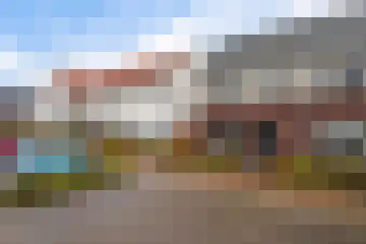 Weidehoek 11 Achterveld thumbnail 29