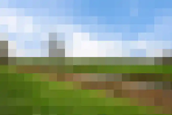 Weidehoek 11 Achterveld thumbnail 31