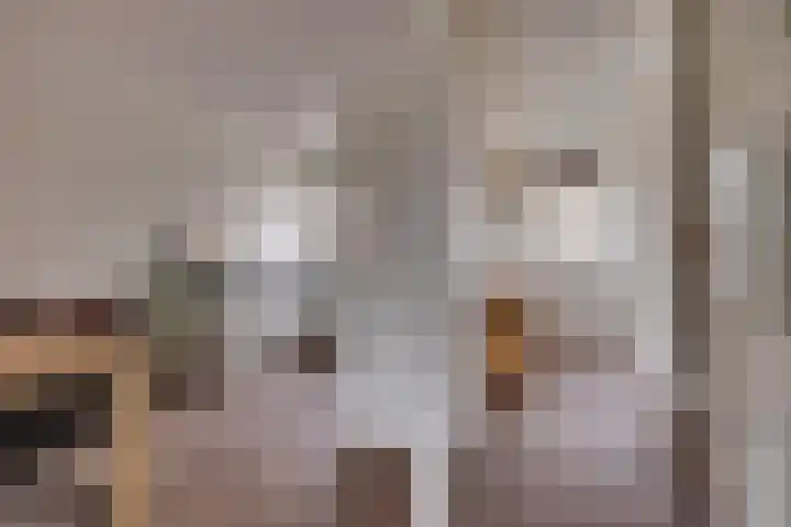 Weidehoek 12 Achterveld thumbnail 11