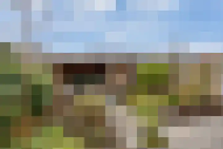 Weidehoek 12 Achterveld thumbnail 26