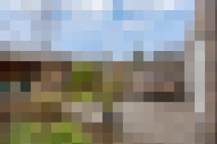 Weidehoek 12 Achterveld thumbnail 27