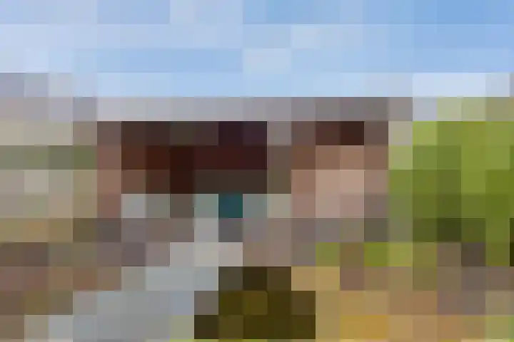 Weidehoek 12 Achterveld thumbnail 28