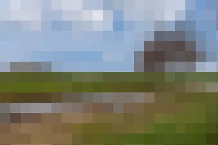 Weidehoek 12 Achterveld thumbnail 33