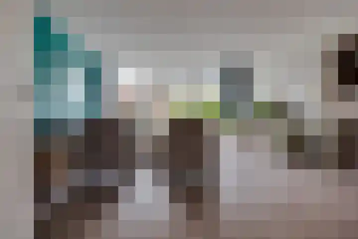 Weidehoek 12 Achterveld thumbnail 4