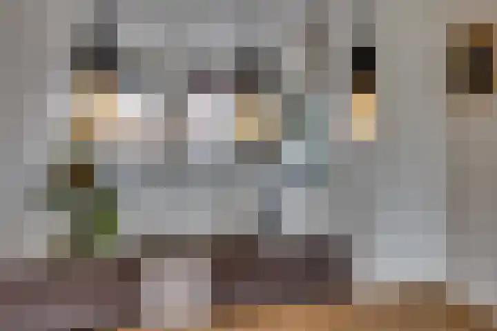 Weidehoek 12 Achterveld thumbnail 9