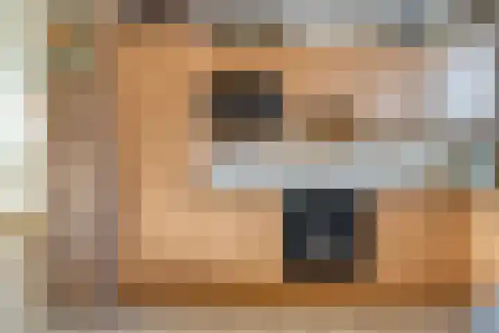 Weidehof 4 Hardenberg thumbnail 14