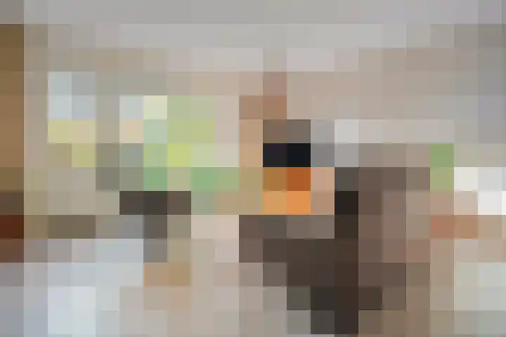 Weidehof 4 Hardenberg thumbnail 21