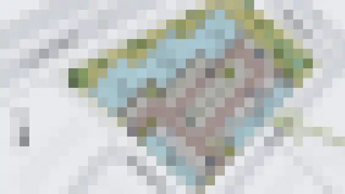 Weidehof 4 Hardenberg thumbnail 4