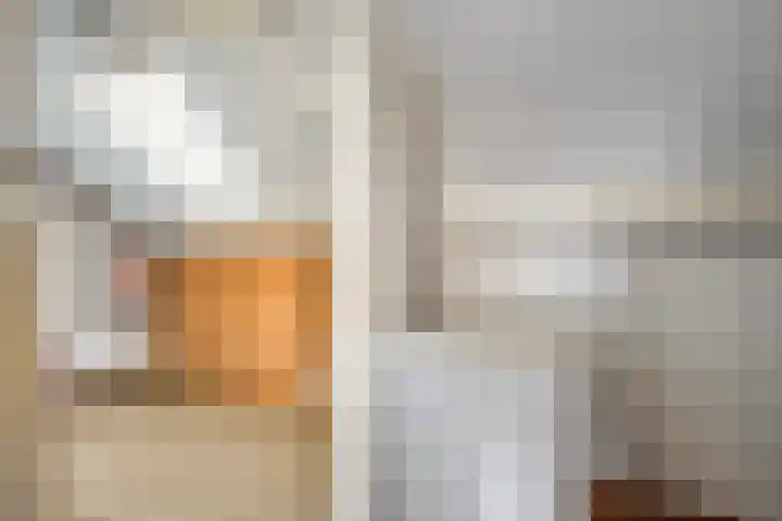 Weidehof 4 Hardenberg thumbnail 40