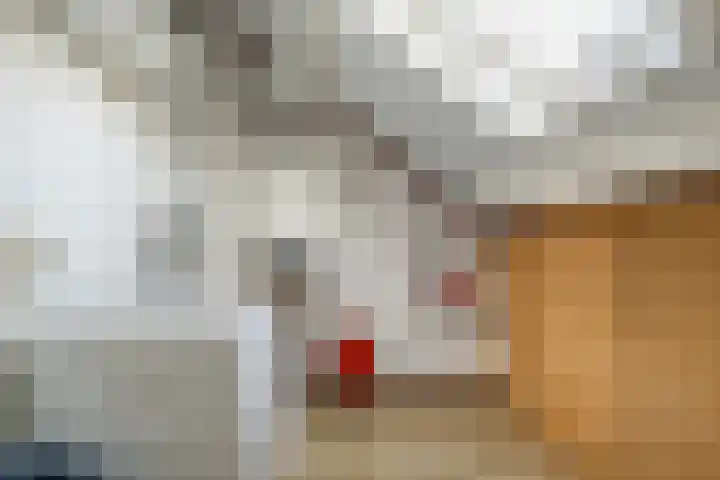 Weidehof 4 Hardenberg thumbnail 41