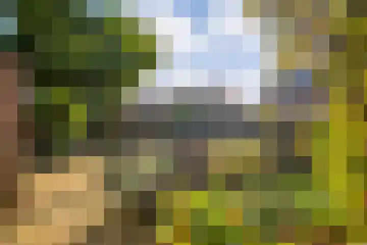 Weidehof 4 Hardenberg thumbnail 45