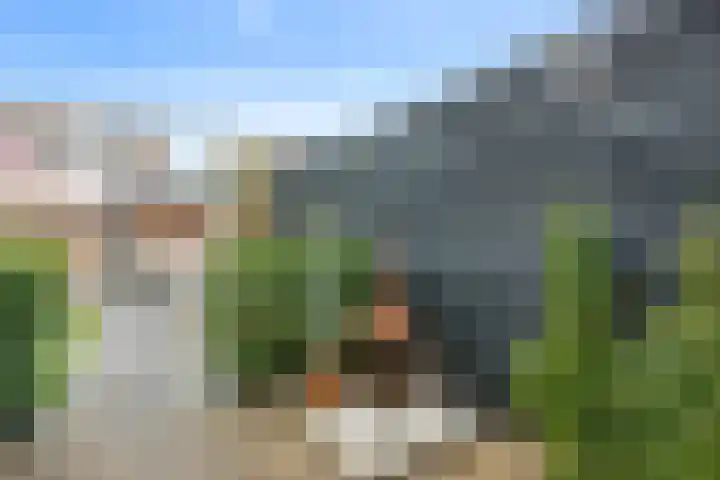 Weidekamp 56 Vianen thumbnail 27