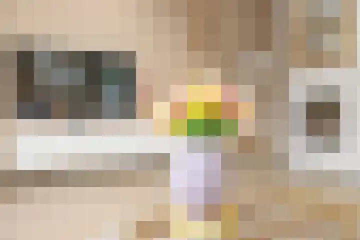 Weidekamp 56 Vianen thumbnail 7
