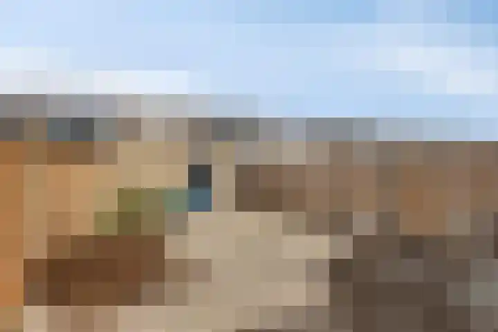Weidemolen 28 Papendrecht thumbnail 8