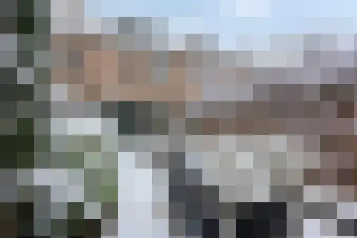 Weidemolen 34 Hoorn thumbnail 5