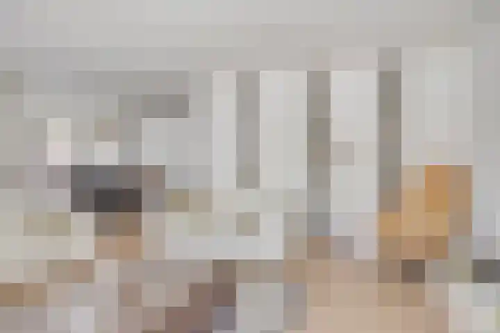 Weidemolenlaan 11 Lochem thumbnail 12