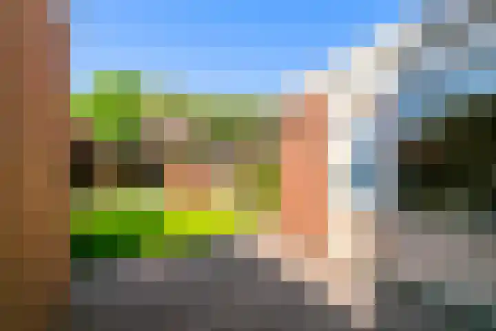 Weidestraat 11 Didam thumbnail 10