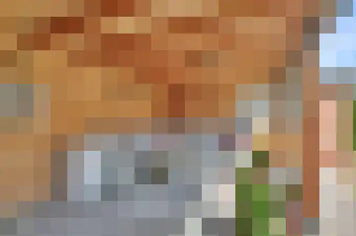 Weidestraat 11 Didam thumbnail 12