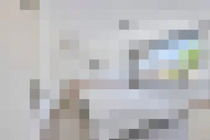 Weidestraat 11 Didam thumbnail 17