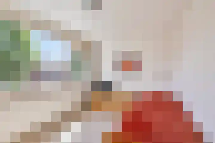 Weidestraat 11 Didam thumbnail 19