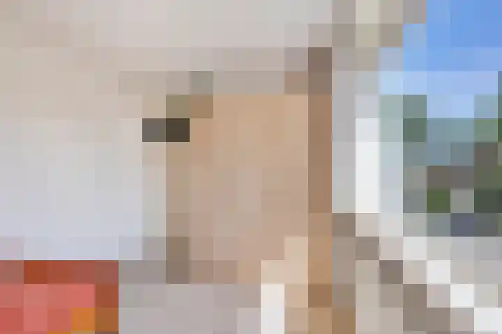 Weidestraat 11 Didam thumbnail 20