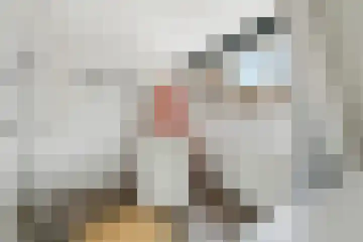 Weidestraat 13 Amsterdam thumbnail 19