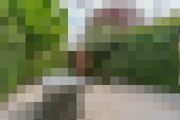 Weidestraat 13 Amsterdam thumbnail 31