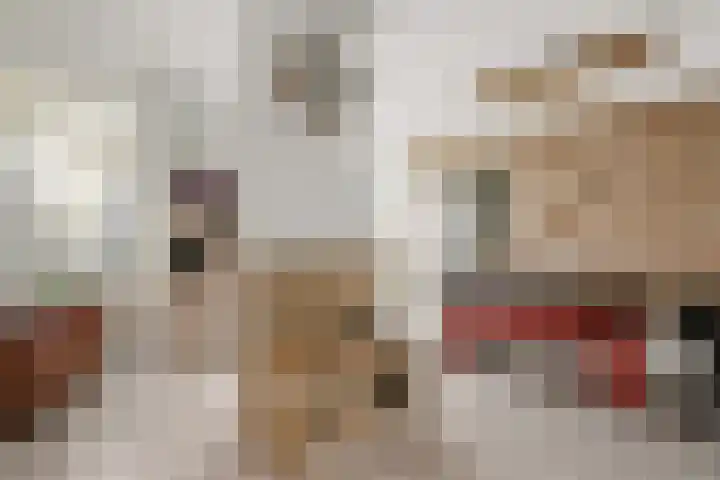 Weidestraat 2 Didam thumbnail 10