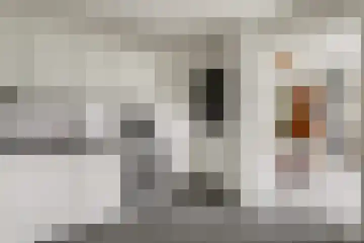 Weidestraat 2 Didam thumbnail 16