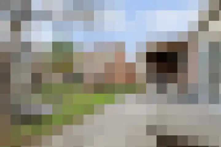 Weidestraat 2 Didam thumbnail 34