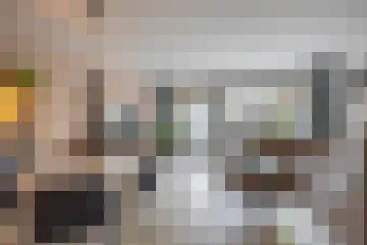 Weidezoom 10 Waddinxveen thumbnail 10