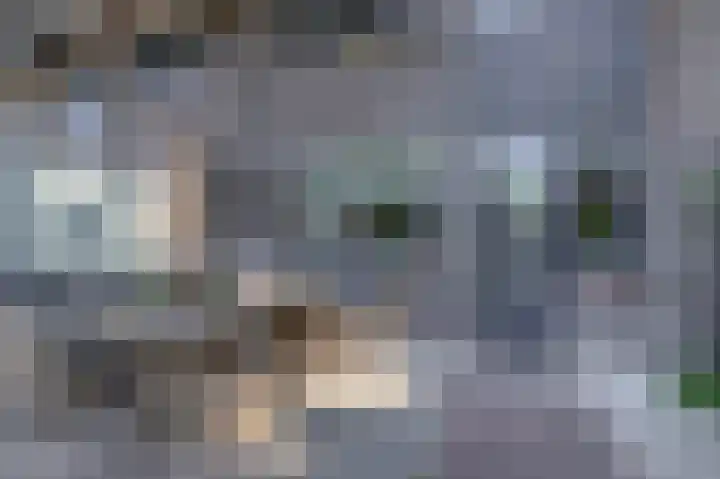 Weidezoom 10 Waddinxveen thumbnail 15