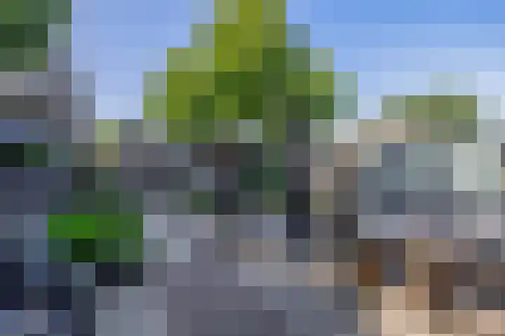 Weidezoom 10 Waddinxveen thumbnail 16