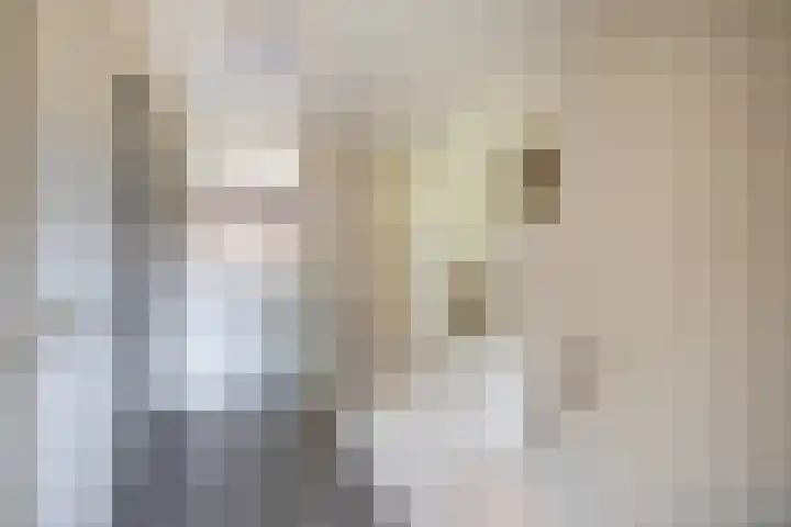 Weidezoom 10 Waddinxveen thumbnail 19