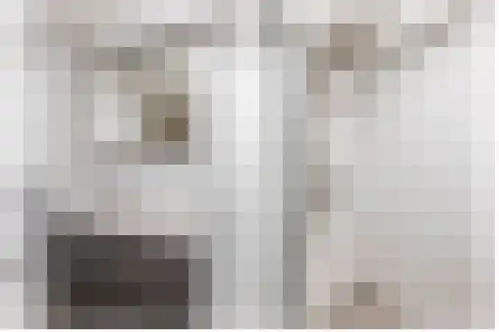 Weidezoom 10 Waddinxveen thumbnail 25